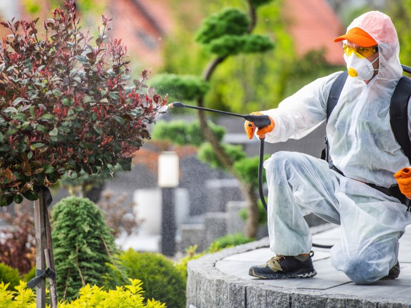 Çubuk Haşere İlaçlama